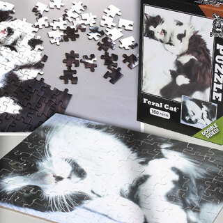 PUZZLE: Feral Cat Mini-Puzzle