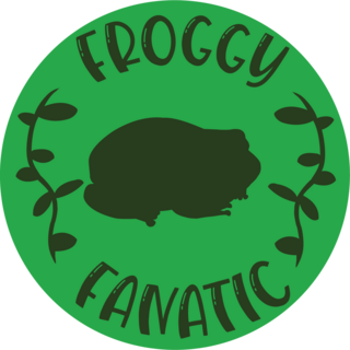 Froggy Fan Pin