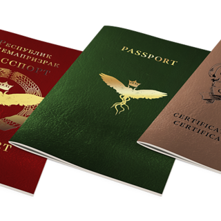 International Passport Set