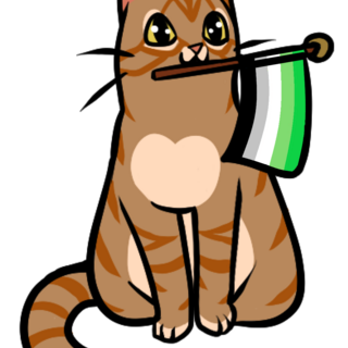 Aromantic flag Cat pin