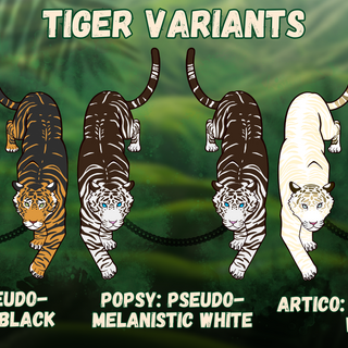 ALL VARIANTS Tiger Chained Pin Sets