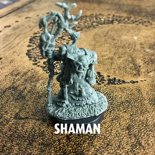 New Orc Shaman