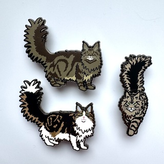 Brown Tabby pins