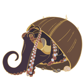 Coconut Octopus
