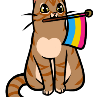 Pan flag Cat pin