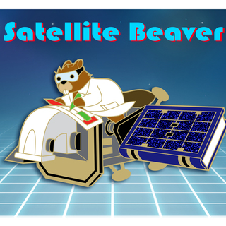 Satellite Beaver Pin