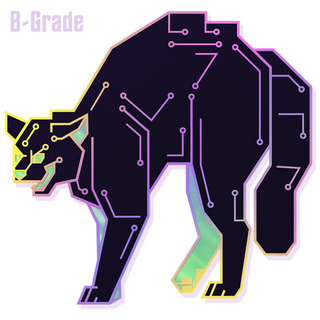 B-Grade Decomm Enamel Pin