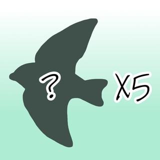 Pre-order Birdtober 2025 Sticker of Choice X5