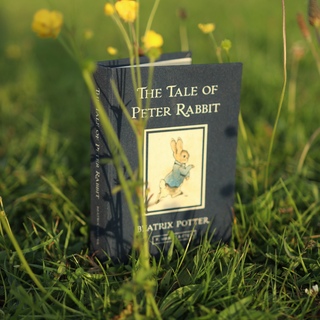 Novel Travelbook The Tale of Peter Rabbit by Beatrix Potter 1902