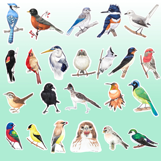 Pre-order Birdtober 2024 Stickers Full Set