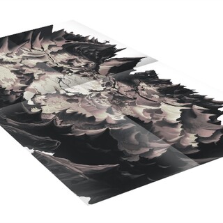 Map of Ophoi