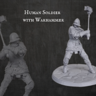 Human Soldier with Warhammer