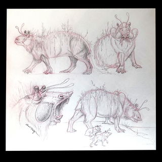 Original - Swamp Pig, Final Concepts