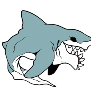 Helicoprion Pin