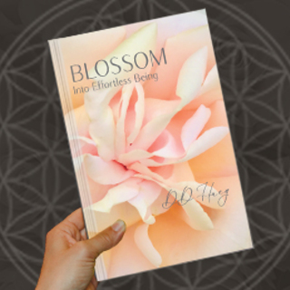1ST EDITION BLOSSOM HARDCOVER BOOK