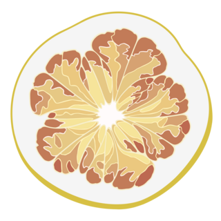 Pocket Fruit Vinyl Sticker