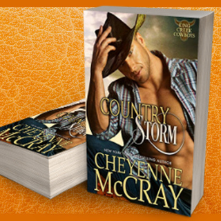 SIGNED PAPERBACK- Country Storm by Cheyenne McCray