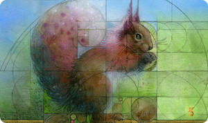 P05-Squirrel_medium.jpg