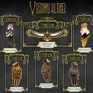 Set of 6 New World Vulture Pins