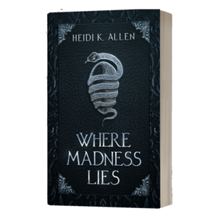 Where Madness Lies Paperback