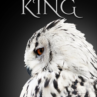 Ebook - A Fairy King (Fairy King 1)