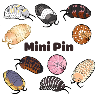 Mini Pin