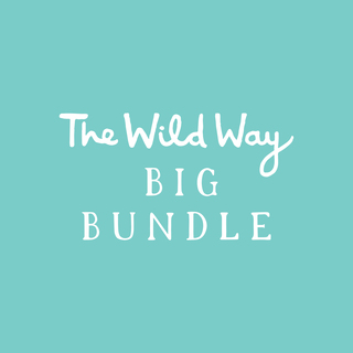 The Wild Way Big Bundle