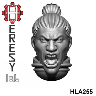 HLA255