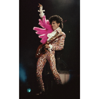 Limited Edition 8" by 10" archival print of Prince
