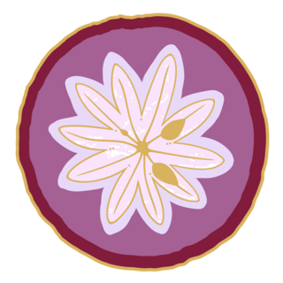 Star Apple Pin