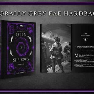 Morally Grey Fae Hardback Edition