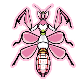 Orchid Mantis Sticker