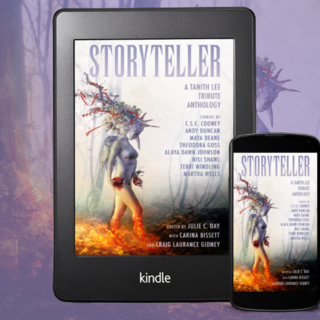 A DRM-free ebook edition of STORYTELLER