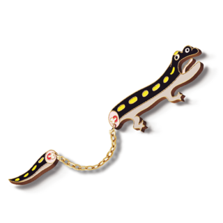 Alexander Pin
