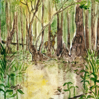 Print of "Otherside"