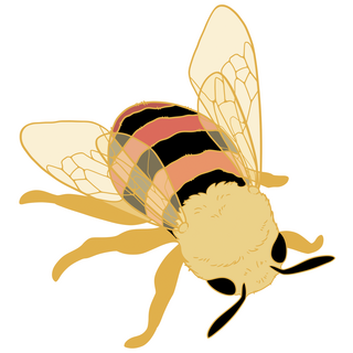 EX Aus Blue Red Bee Mini Pin