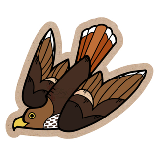 Hawk Sticker