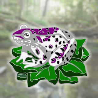 Asexual/Demisexual Frog 2" Pin