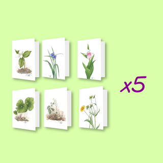 Greeting Card Complete Set X5