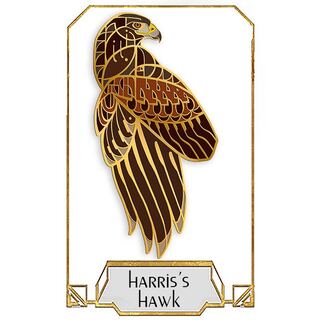 Harris's Hawk Pin