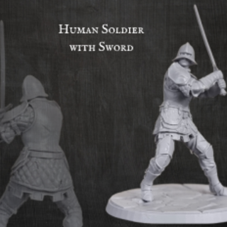 Human Soldier with Sword