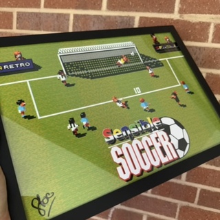 Sensible Socccer print