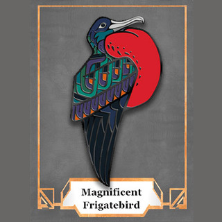 Magnificent Frigatebird Pin