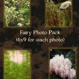 Fairy Photo Print Pack (Digital)