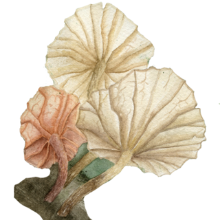 Washi Sticker: Fairy Parachute
