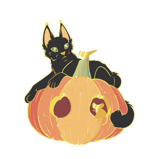 Black Cat Pin