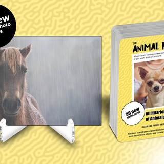 Animal Memes Photo Expansion Pack