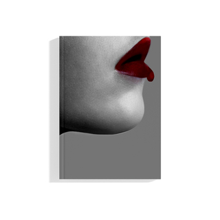 Vampire Music Film Artbook