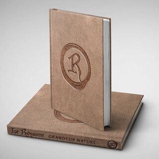 Physical Lore book Le Royaume FRENCH