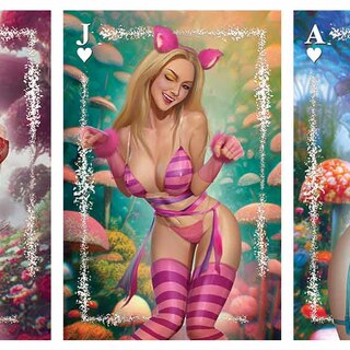 Wonderland Hearts Metal Card Set